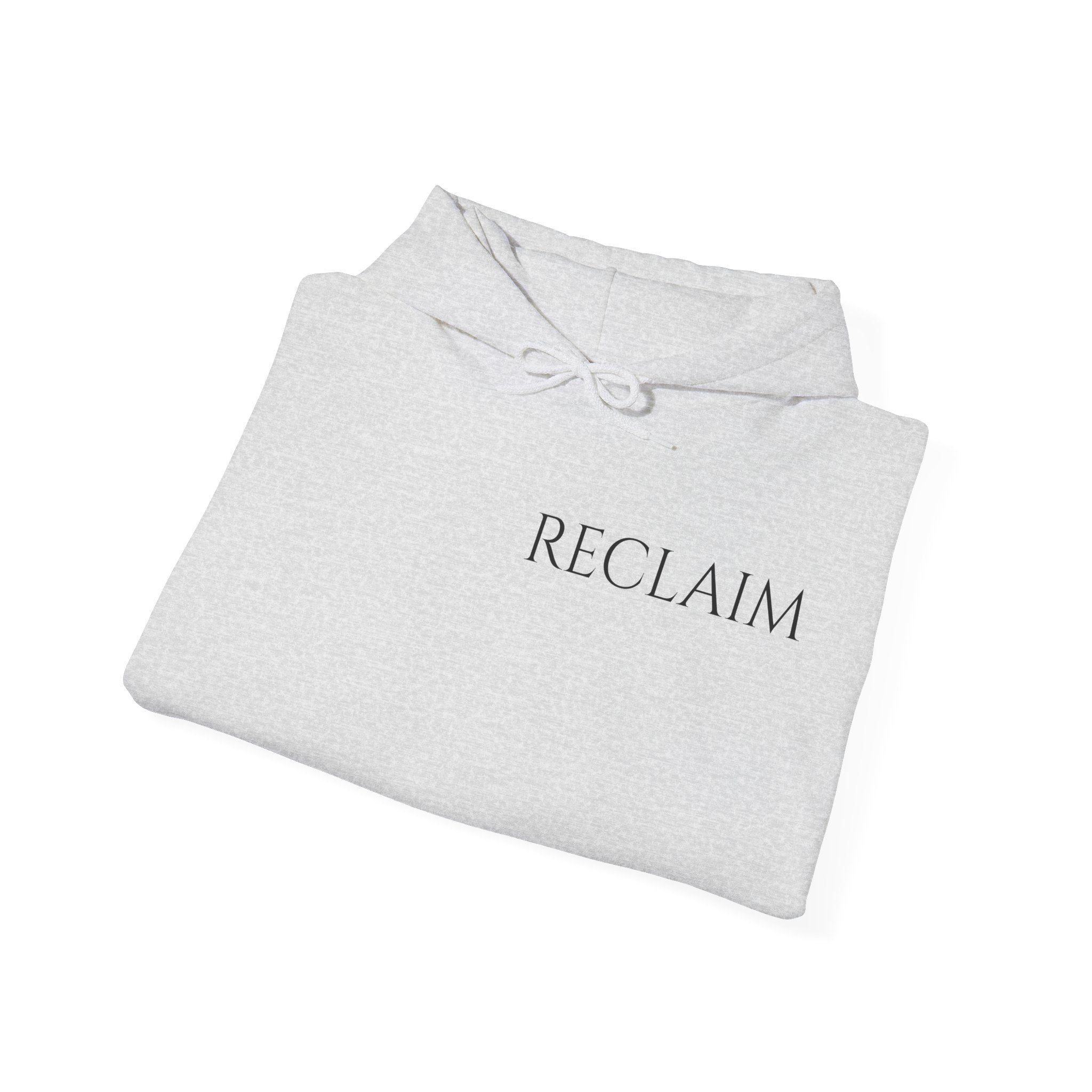 Reclaim The North Hoodie