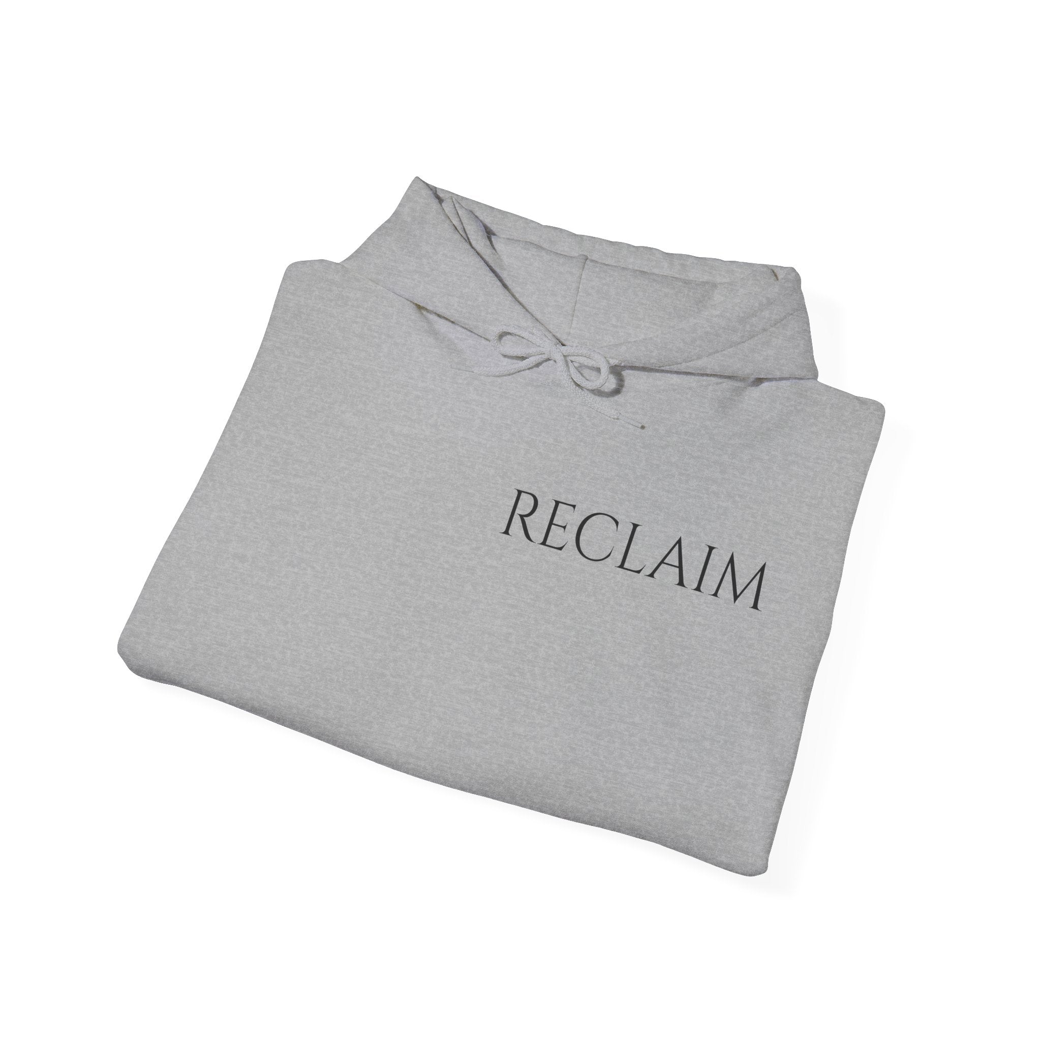 Reclaim The North Hoodie